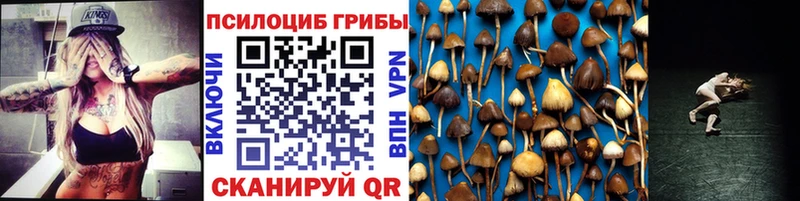 Псилоцибиновые грибы Cubensis  Купить закладки  Балей 