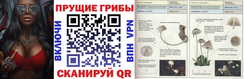 Галлюциногенные грибы мицелий Балей